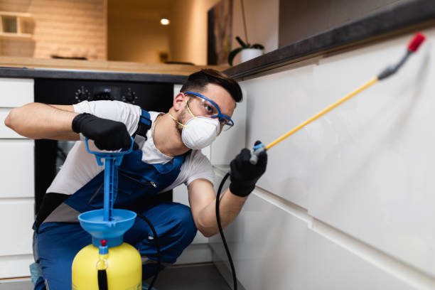 Best Commercial Pest Control Services  in Suffield Depot, CT