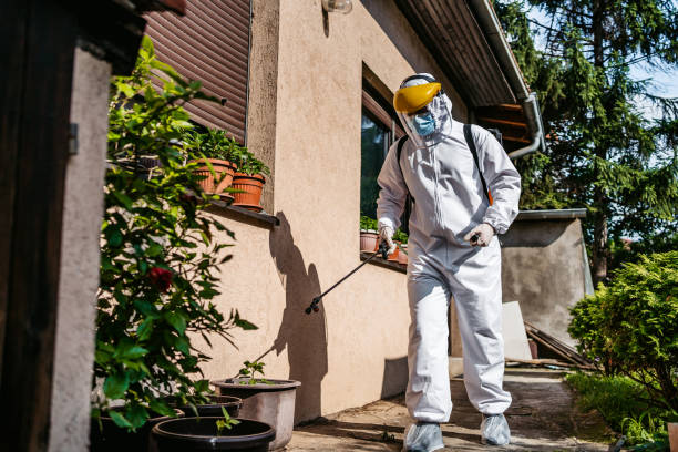 Best Mosquito Control Services  in Suffield Depot, CT