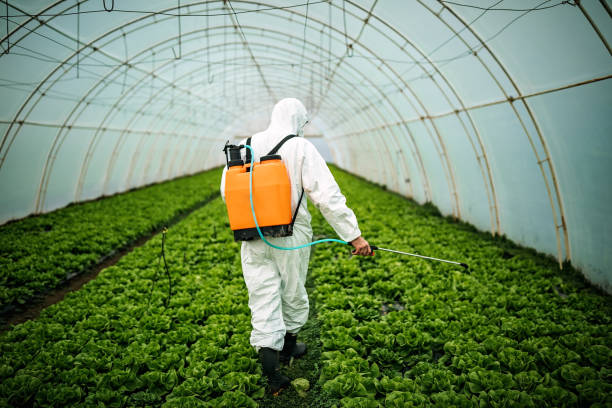 Best Emergency Pest Control  in Suffield Depot, CT