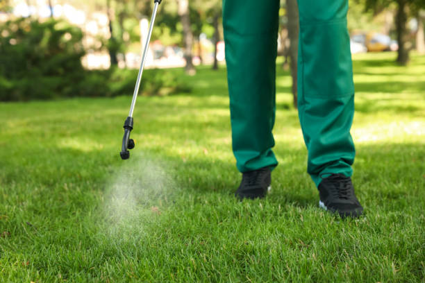 Best Residential Pest Control  in Suffield Depot, CT