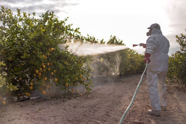  Suffield Depot, CT Pest Control Pros