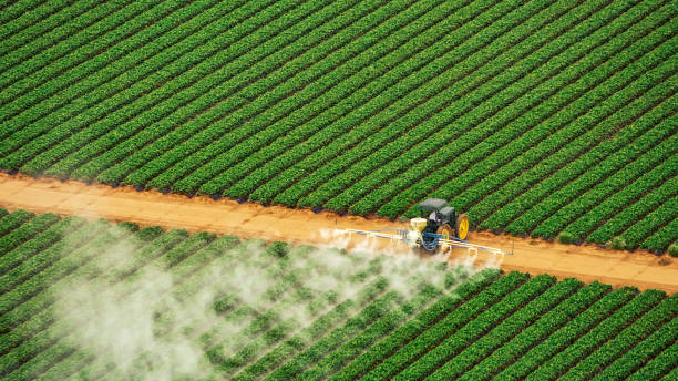 Best Termite Control Services  in Suffield Depot, CT