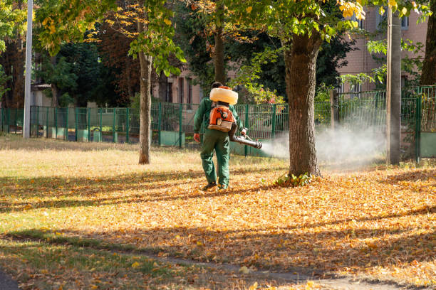 Best Pest Removal Services  in Suffield Depot, CT