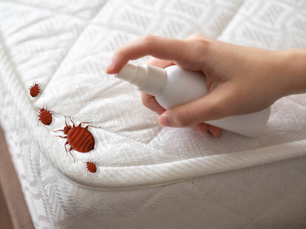 Best Pest Prevention Services  in Suffield Depot, CT